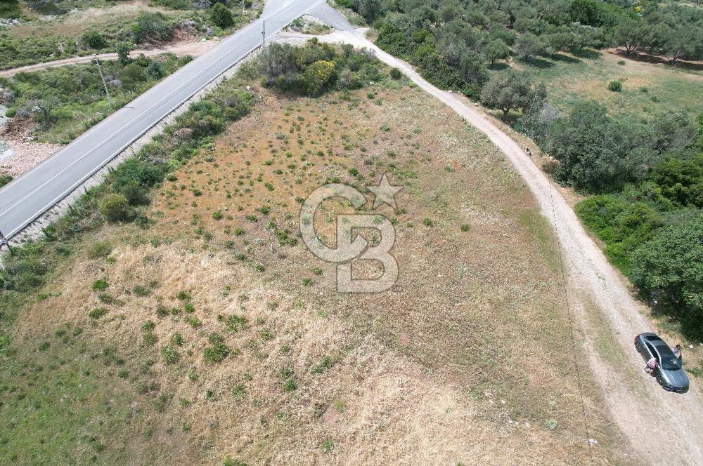 KARABURUNDA DENİZ MANZARALI ANAYOLA SIFIR KÖŞE PARSEL ARSA