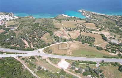 KARABURUNDA DENİZ MANZARALI ANAYOLA SIFIR KÖŞE PARSEL ARSA