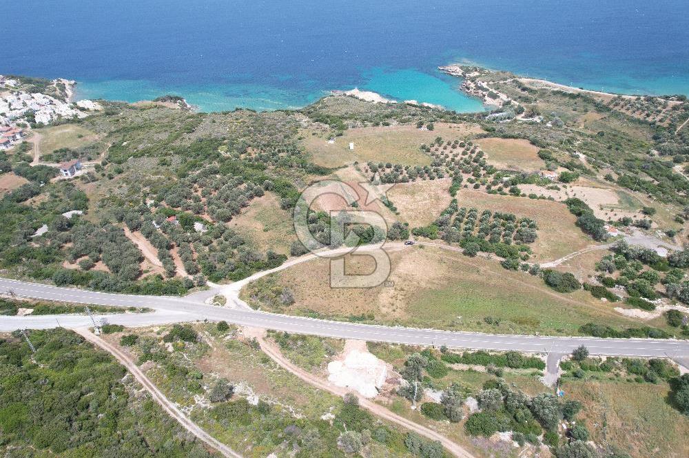 KARABURUNDA DENİZ MANZARALI ANAYOLA SIFIR KÖŞE PARSEL ARSA