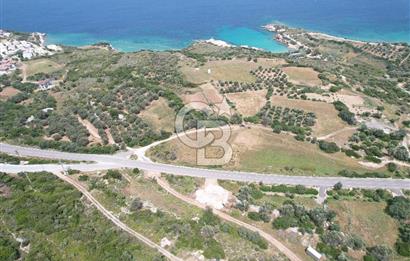 KARABURUNDA DENİZ MANZARALI ANAYOLA SIFIR KÖŞE PARSEL ARSA