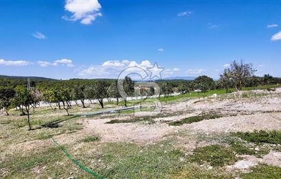 ESRA USLU'DAN BERGAMA ÖRLEMİŞ'DE 18,5 DÖNÜM İÇİNDE EVİ BULUNAN SATILIK ÇİFTLİK