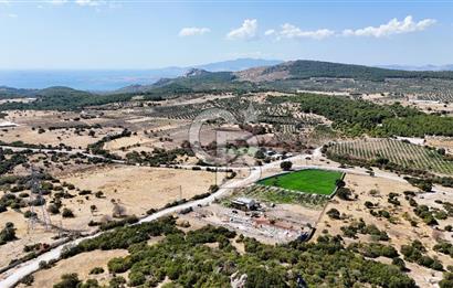 ESRA USLU'DAN BERGAMA ÖRLEMİŞ'DE 18,5 DÖNÜM İÇİNDE EVİ BULUNAN SATILIK ÇİFTLİK