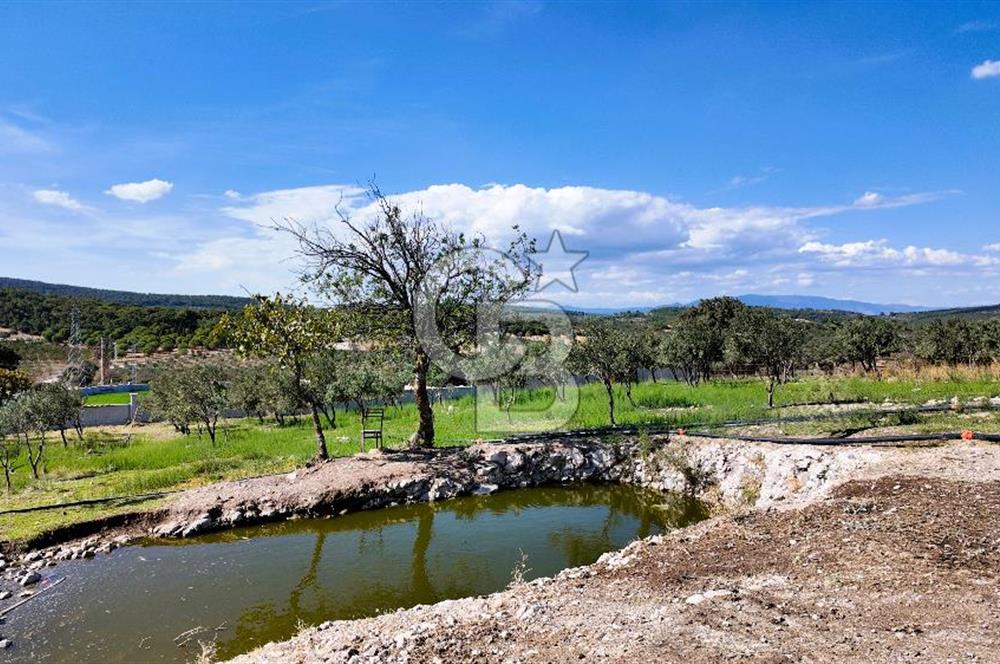 ESRA USLU'DAN BERGAMA ÖRLEMİŞ'DE 18,5 DÖNÜM İÇİNDE EVİ BULUNAN SATILIK ÇİFTLİK