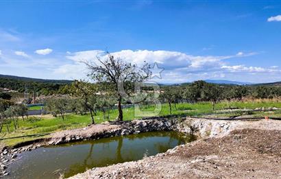 ESRA USLU'DAN BERGAMA ÖRLEMİŞ'DE 18,5 DÖNÜM İÇİNDE EVİ BULUNAN SATILIK ÇİFTLİK