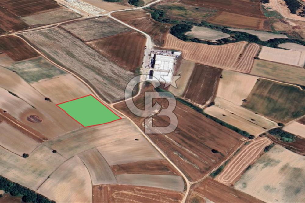 Tekirdağ Kapaklı Karaağaç' ta Satılık 8000 M2 Sanayi Arsası 