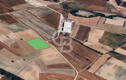 Tekirdağ Kapaklı Karaağaç' ta Satılık 8000 M2 Sanayi Arsası 