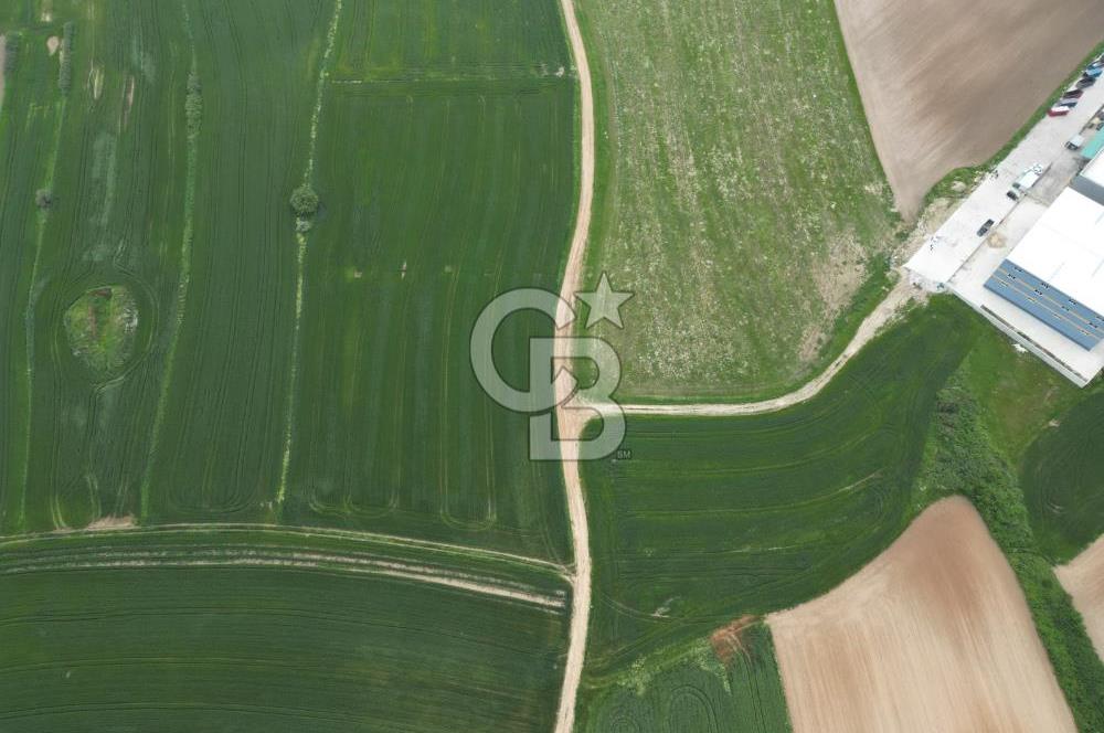 Tekirdağ Kapaklı Karaağaç' ta Satılık 8000 M2 Sanayi Arsası 