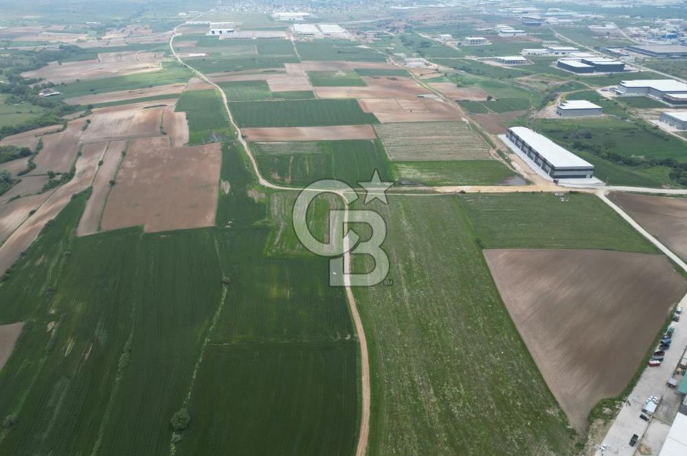 Tekirdağ Kapaklı Karaağaç' ta Satılık 8000 M2 Sanayi Arsası 