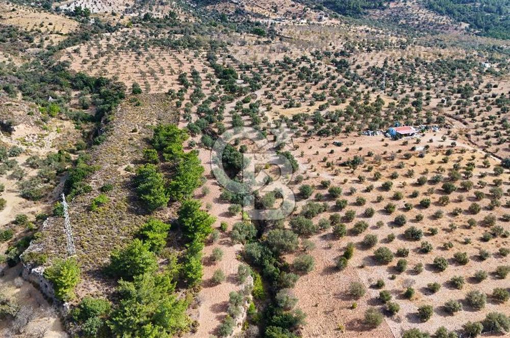 Datça Yakaköy'de 12 dönüm Yatırımlık Tarla