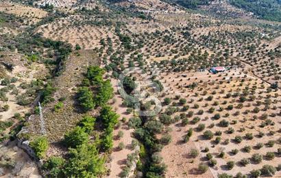 Datça Yakaköy'de 12 dönüm Yatırımlık Tarla