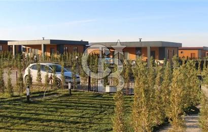 ANKARA BAĞLARI 2 HOBİ BAHÇESİNDE 500M2 