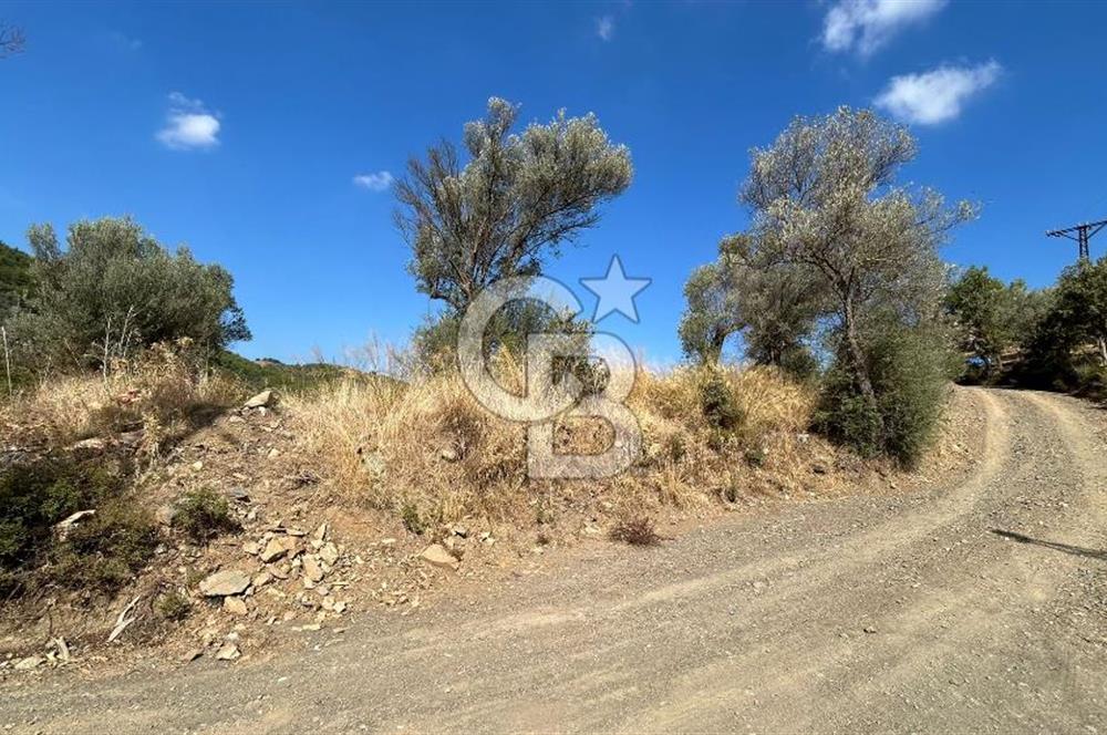 Güzelbahçe Payamlı Land for Sale