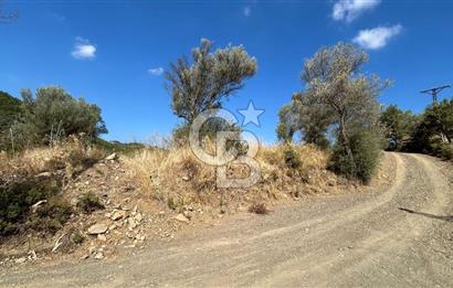 Güzelbahçe Payamlı Land for Sale