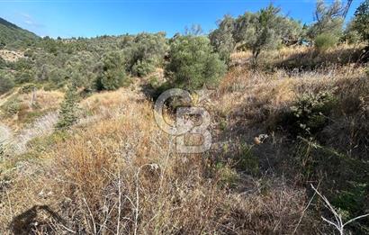 Güzelbahçe Payamlı Land for Sale