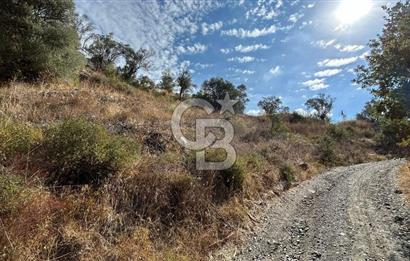 Güzelbahçe Payamlı Land for Sale