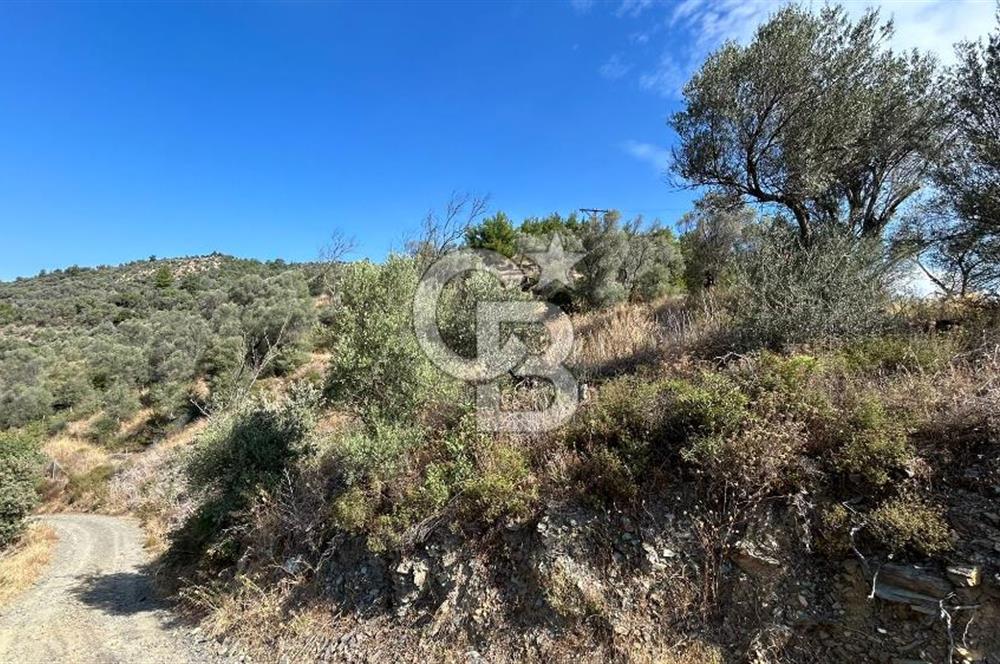 Güzelbahçe Payamlı Land for Sale