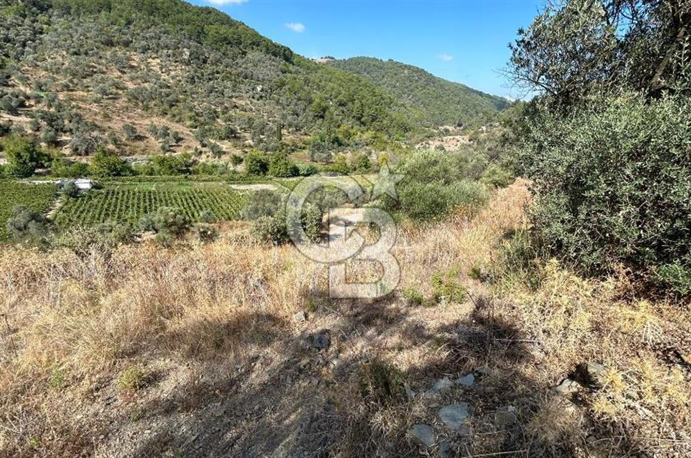 Güzelbahçe Payamlı Land for Sale