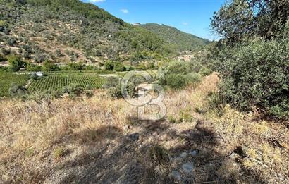 Güzelbahçe Payamlı Land for Sale