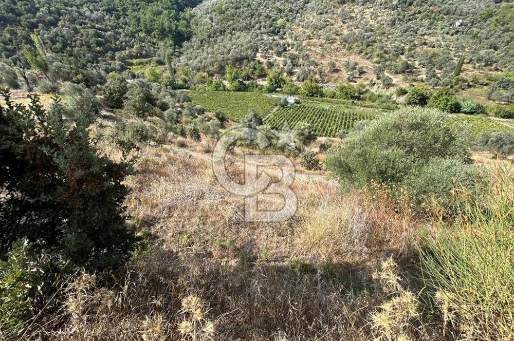 Güzelbahçe Payamlı Land for Sale