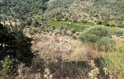 Güzelbahçe Payamlı Land for Sale