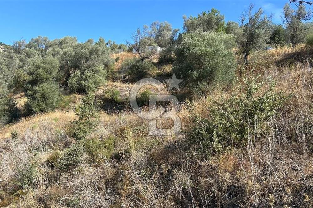 Güzelbahçe Payamlı Land for Sale