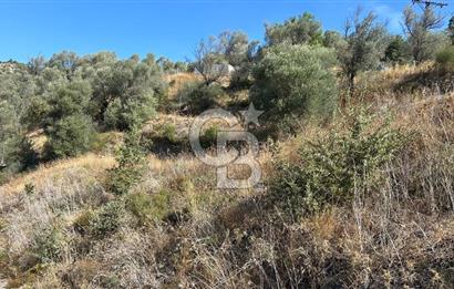 Güzelbahçe Payamlı Land for Sale