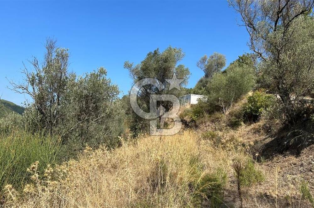 Güzelbahçe Payamlı Land for Sale