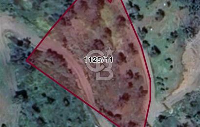 Güzelbahçe Payamlı Land for Sale