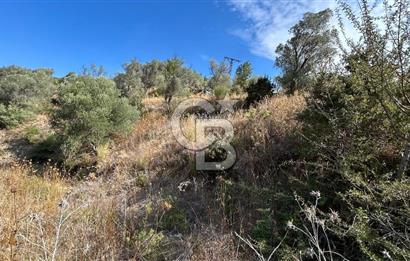 Güzelbahçe Payamlı Land for Sale