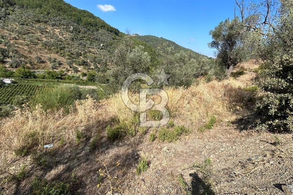 Güzelbahçe Payamlı Land for Sale