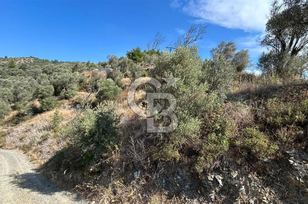 Güzelbahçe Payamlı Land for Sale