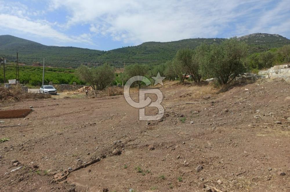 Kavakdere'de Asfalt Yol Kenarında Satılık Arsalar