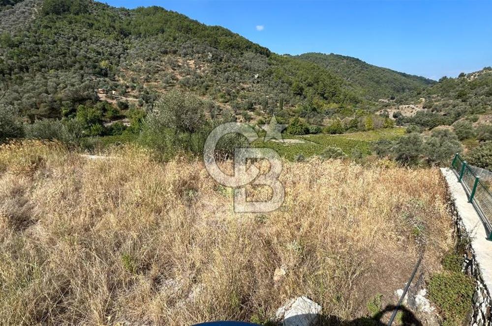 Güzelbahçe Payamlı Land for Sale