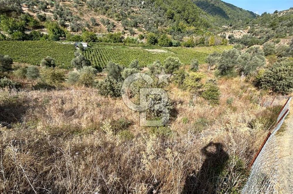 Güzelbahçe Payamlı Land for Sale