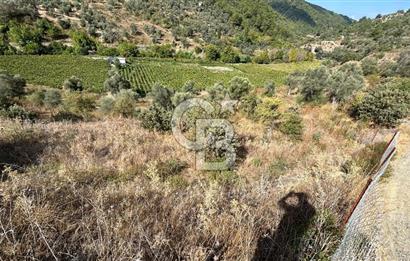 Güzelbahçe Payamlı Land for Sale