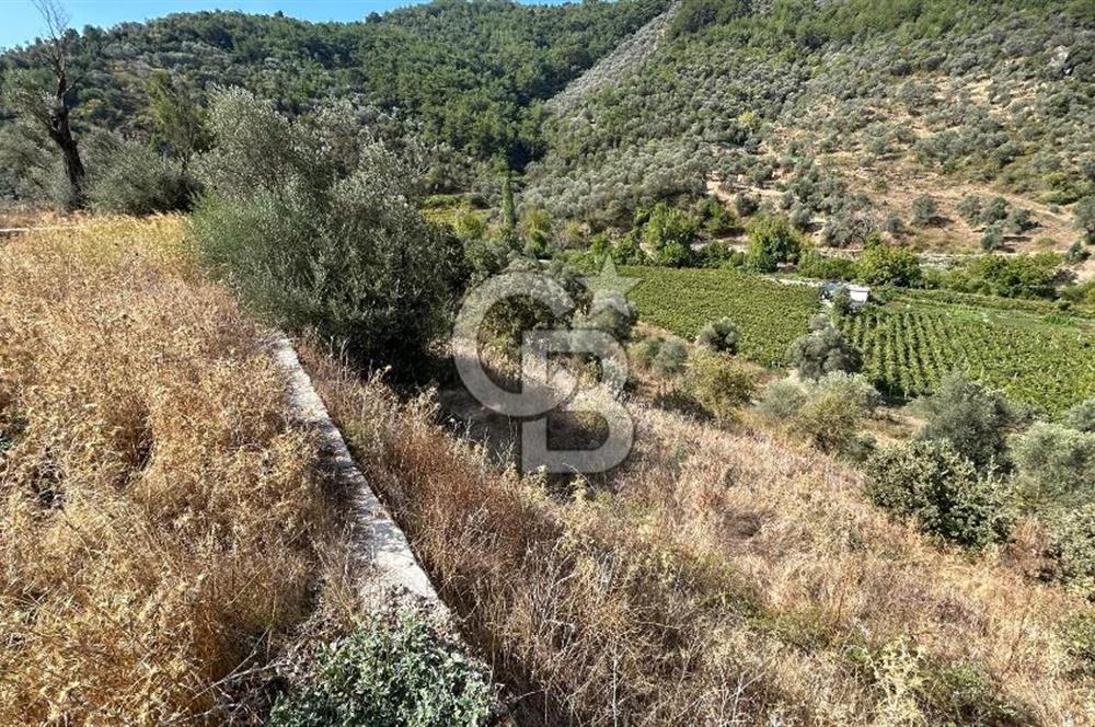 Güzelbahçe Payamlı Land for Sale