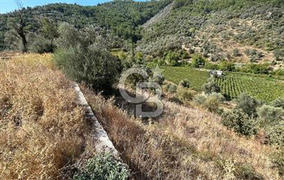 Güzelbahçe Payamlı Land for Sale