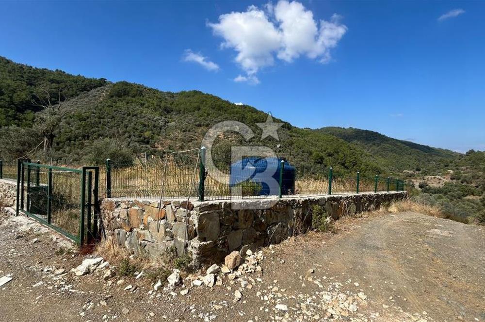 Güzelbahçe Payamlı Land for Sale