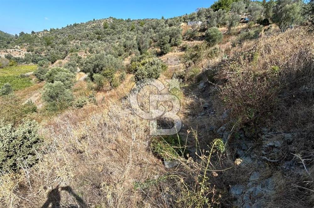 Güzelbahçe Payamlı Land for Sale