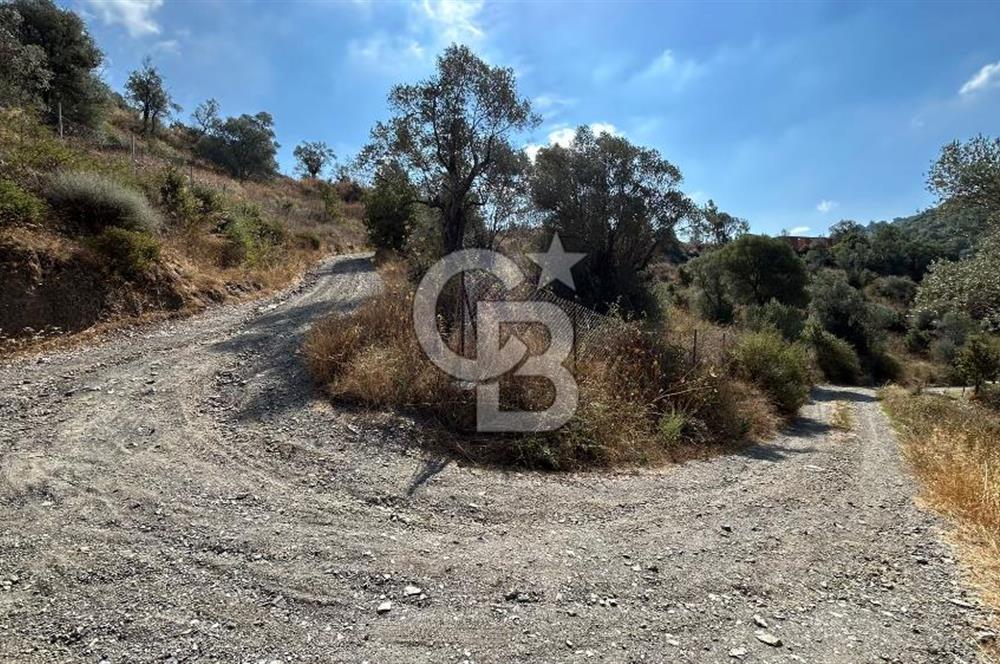 Güzelbahçe Payamlı Land for Sale