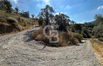 Güzelbahçe Payamlı Land for Sale