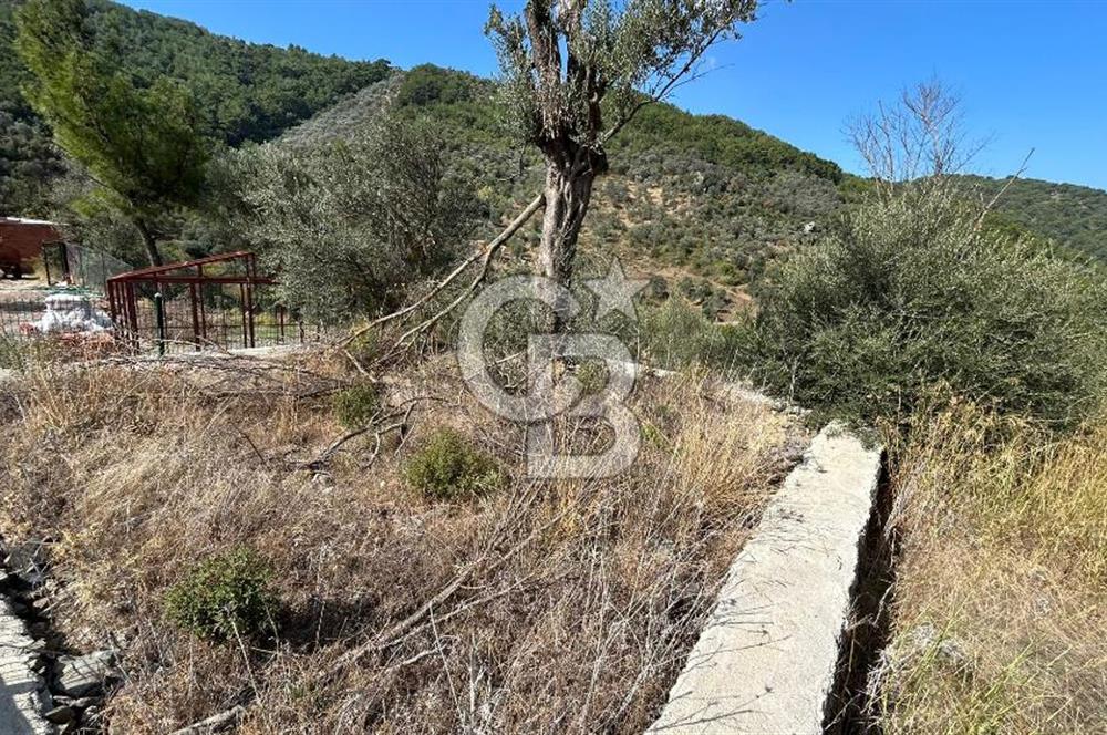 Güzelbahçe Payamlı Land for Sale