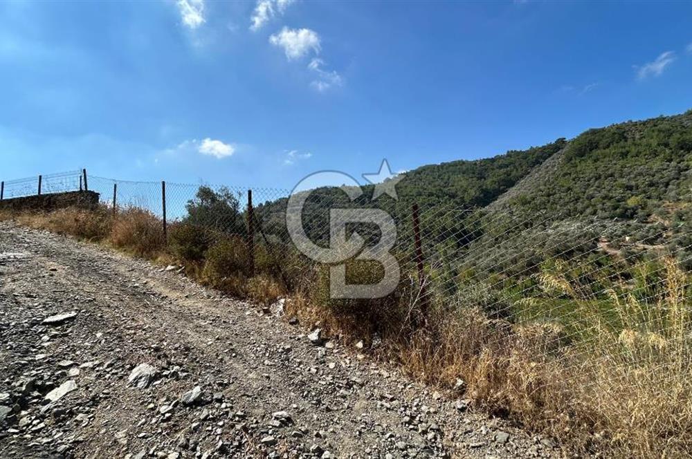 Güzelbahçe Payamlı Land for Sale