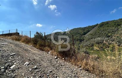 Güzelbahçe Payamlı Land for Sale