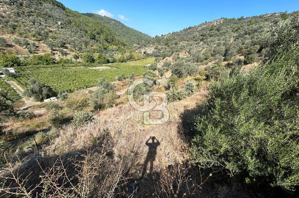 Güzelbahçe Payamlı Land for Sale