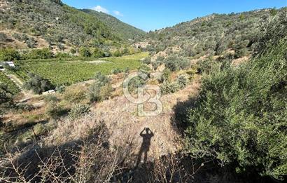 Güzelbahçe Payamlı Land for Sale