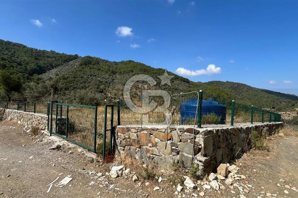 Güzelbahçe Payamlı Land for Sale