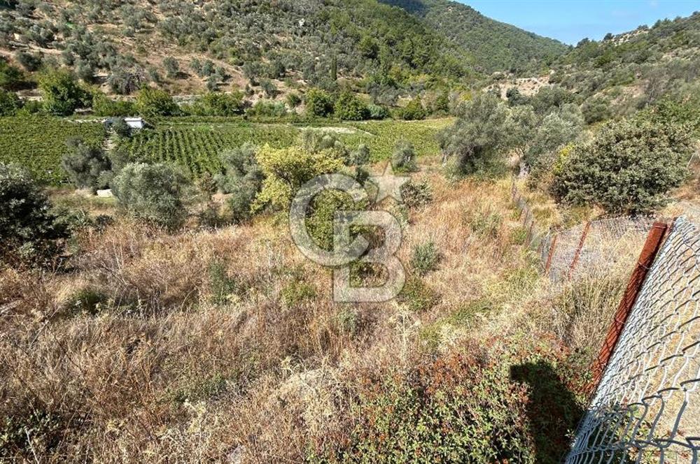 Güzelbahçe Payamlı Land for Sale