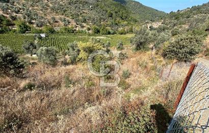 Güzelbahçe Payamlı Land for Sale