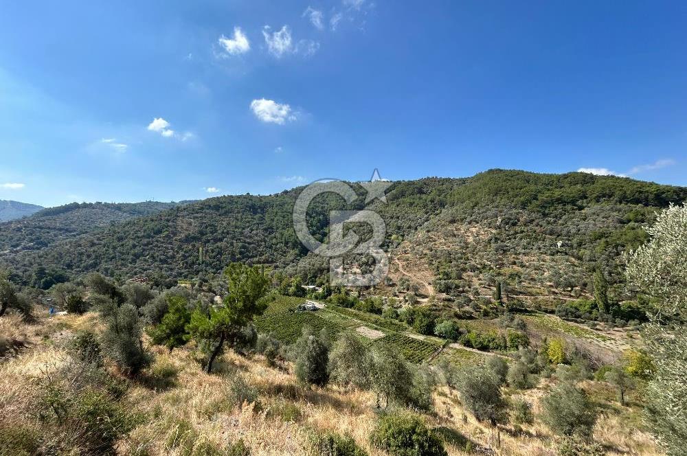 Güzelbahçe Payamlı Land for Sale